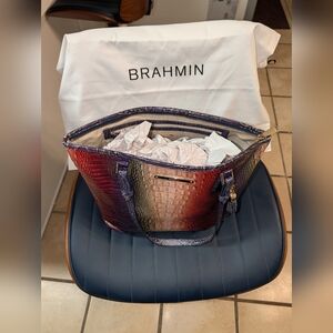 Brahmin Multicolor Tote Bag (Medium Asher)
